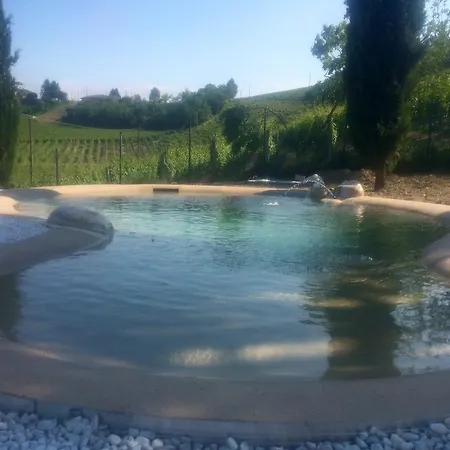 Ca Del Gallo In Langa Mango